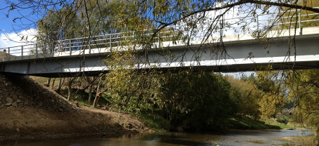 Clear-Span Bridge over the River Motu